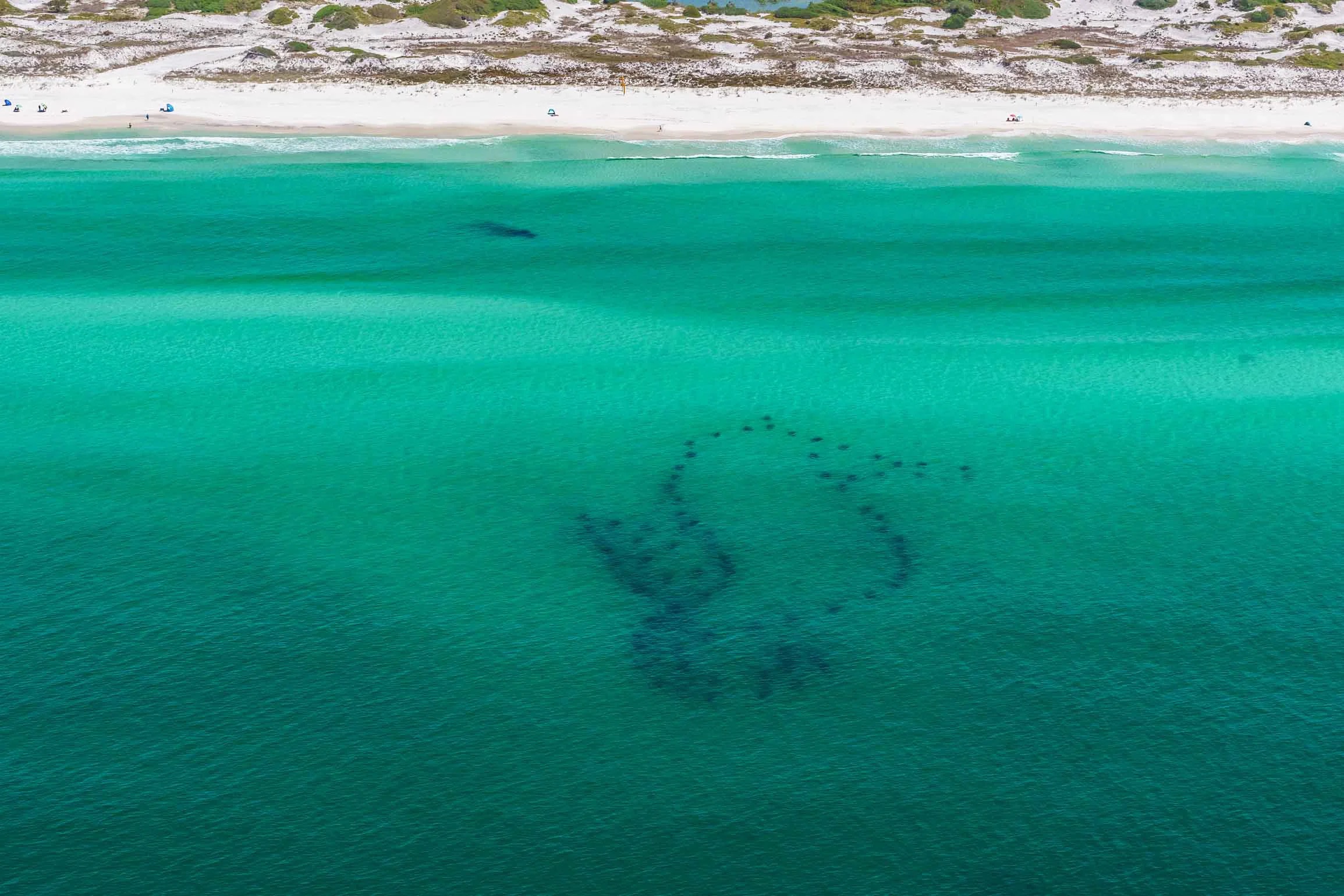 Seahorse Reef Topsail Hill Preserve State Park 