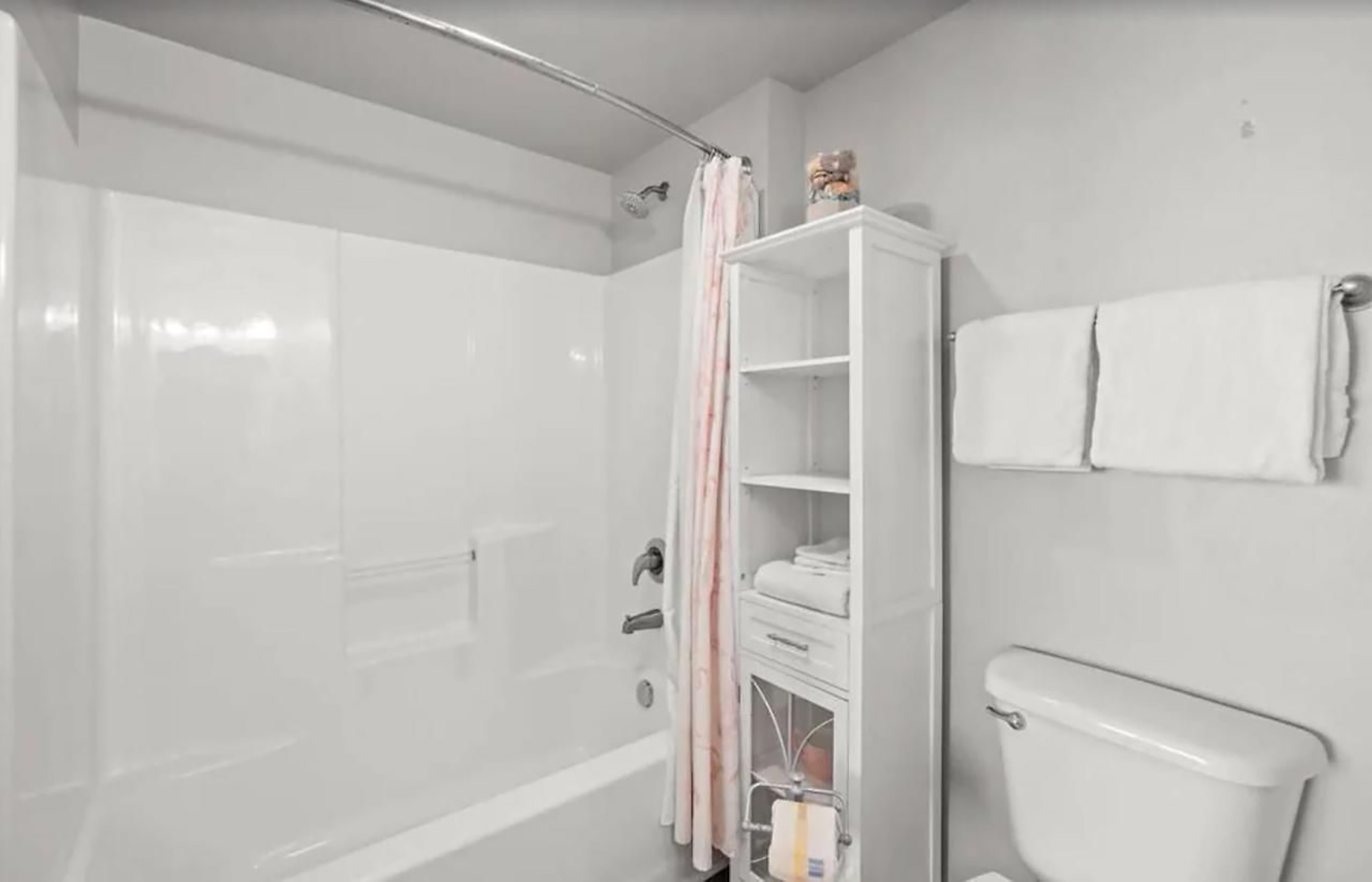 Guest bathroom