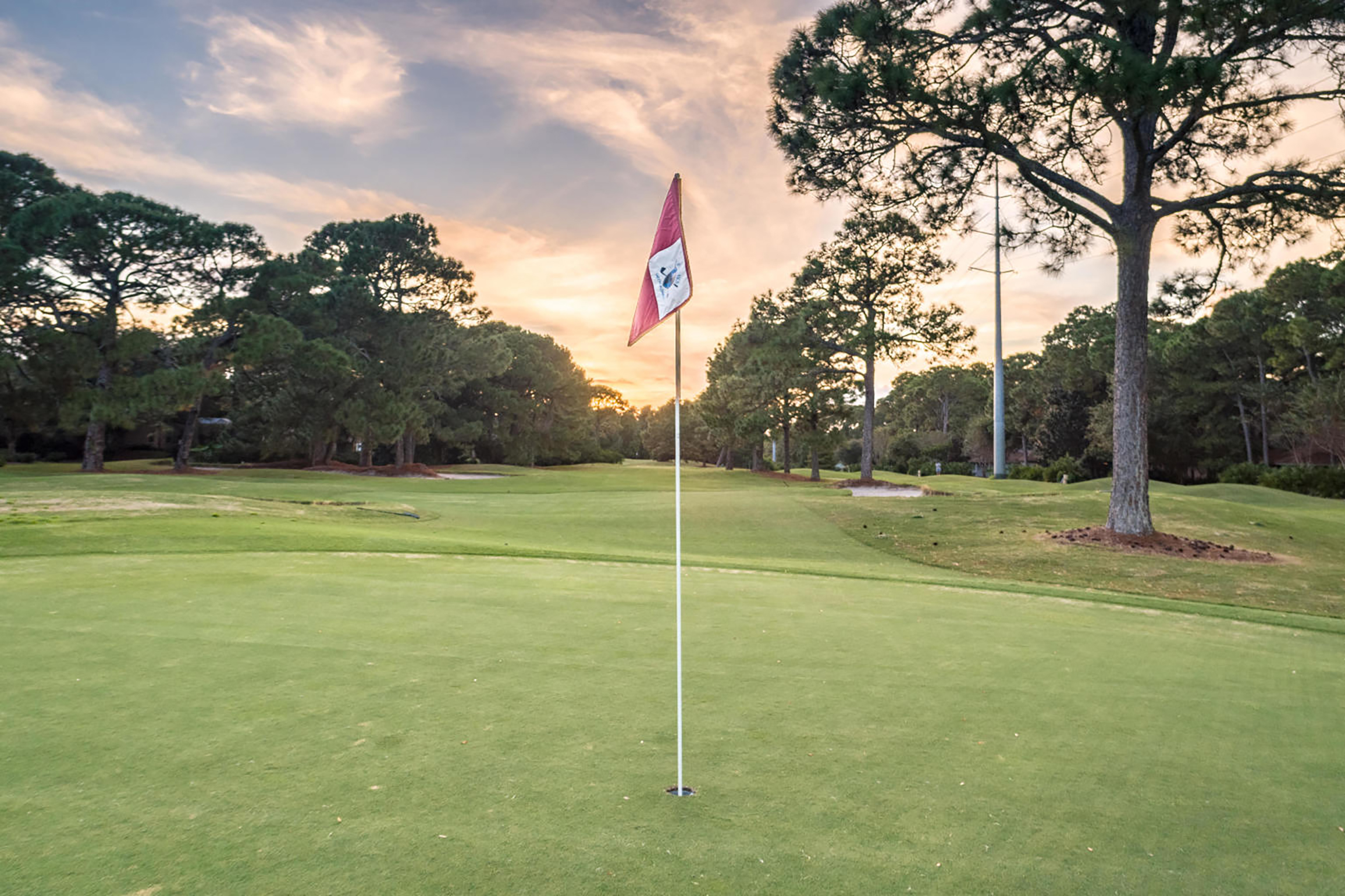 Hit the links