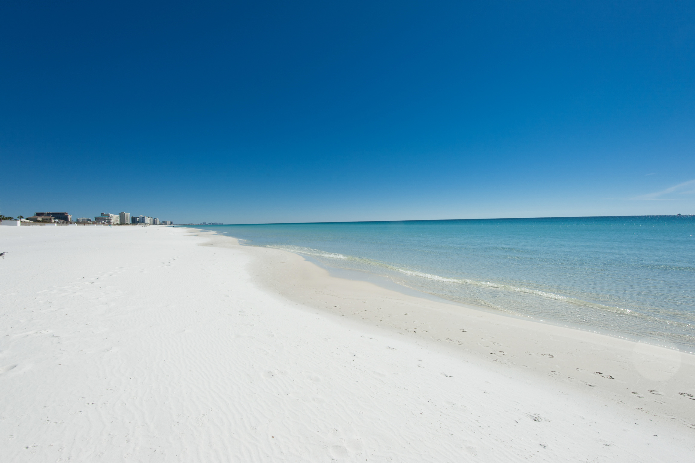 Paradise! Beach at Holiday Surf
