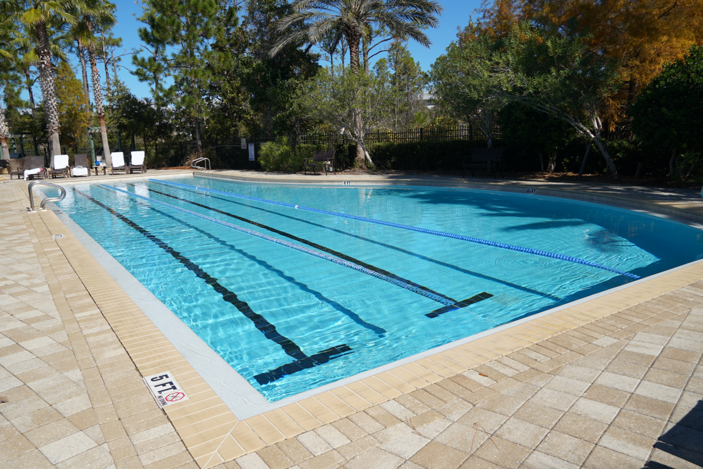 Swim some laps!