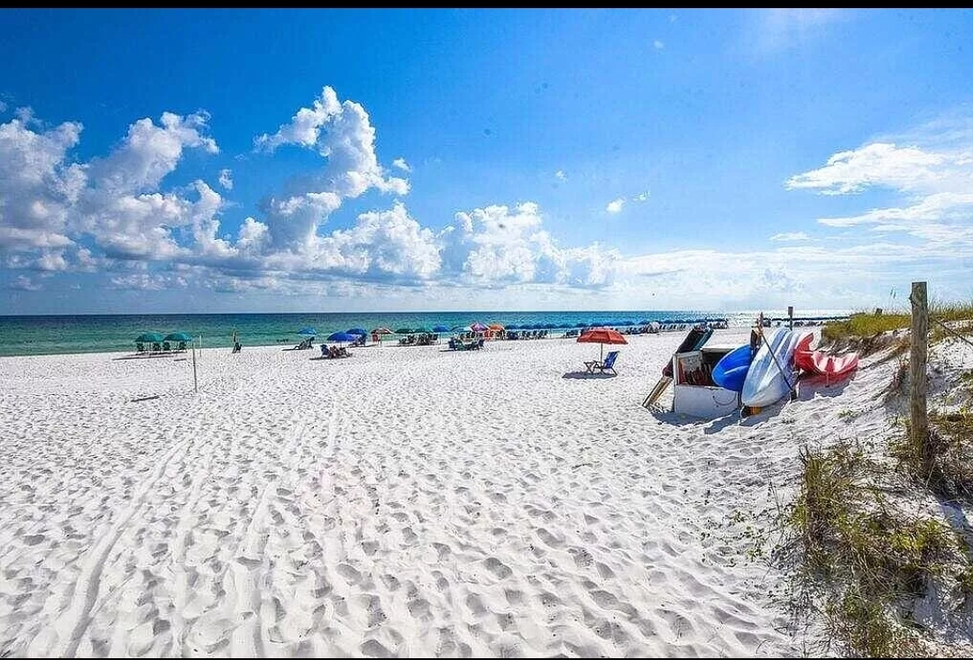 Looking for something more adventurous? This is a perfect spot for kayaking or paddle boarding! There's a local vendor available for whatever your spirit desires!