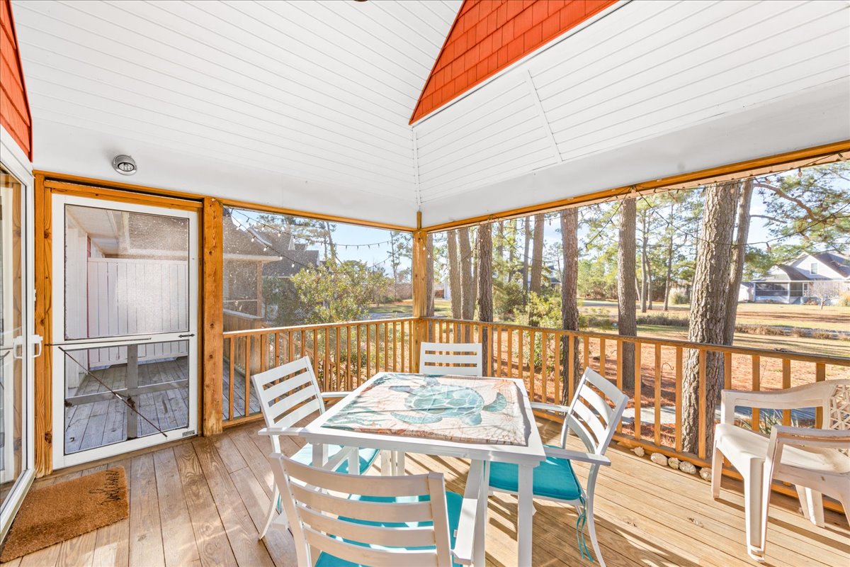 Listen to the trees sway and the Tree Frogs sing.