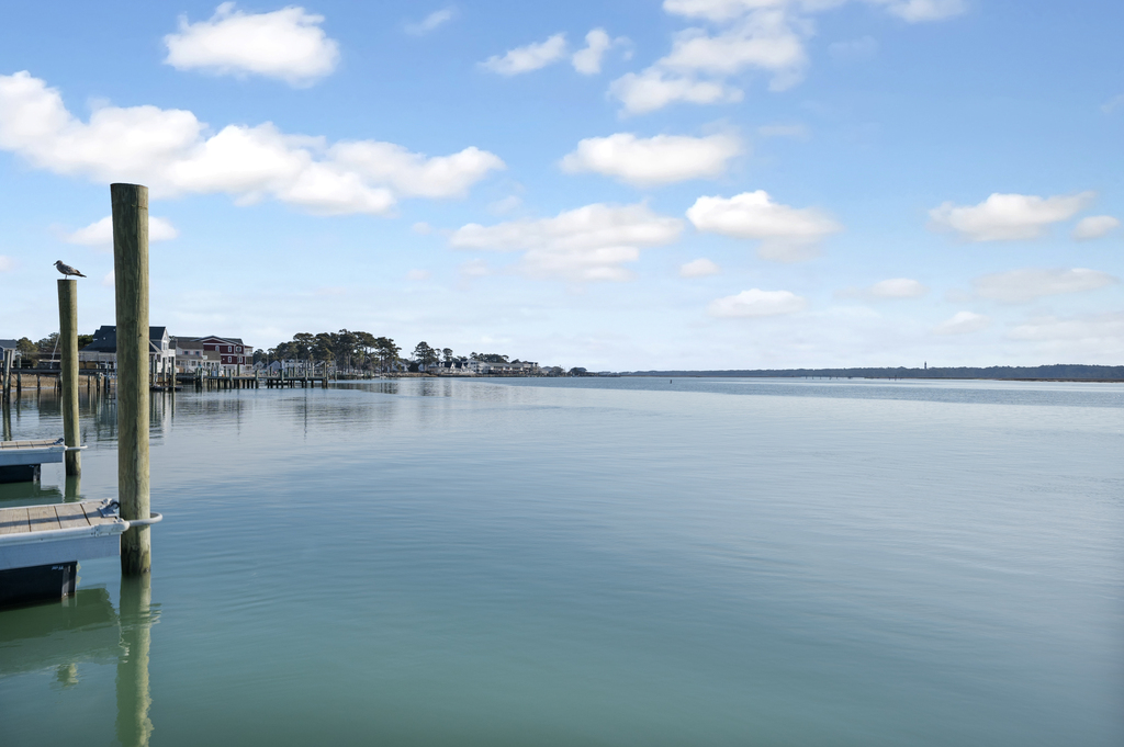 Perfect for fishing or your kayaks!