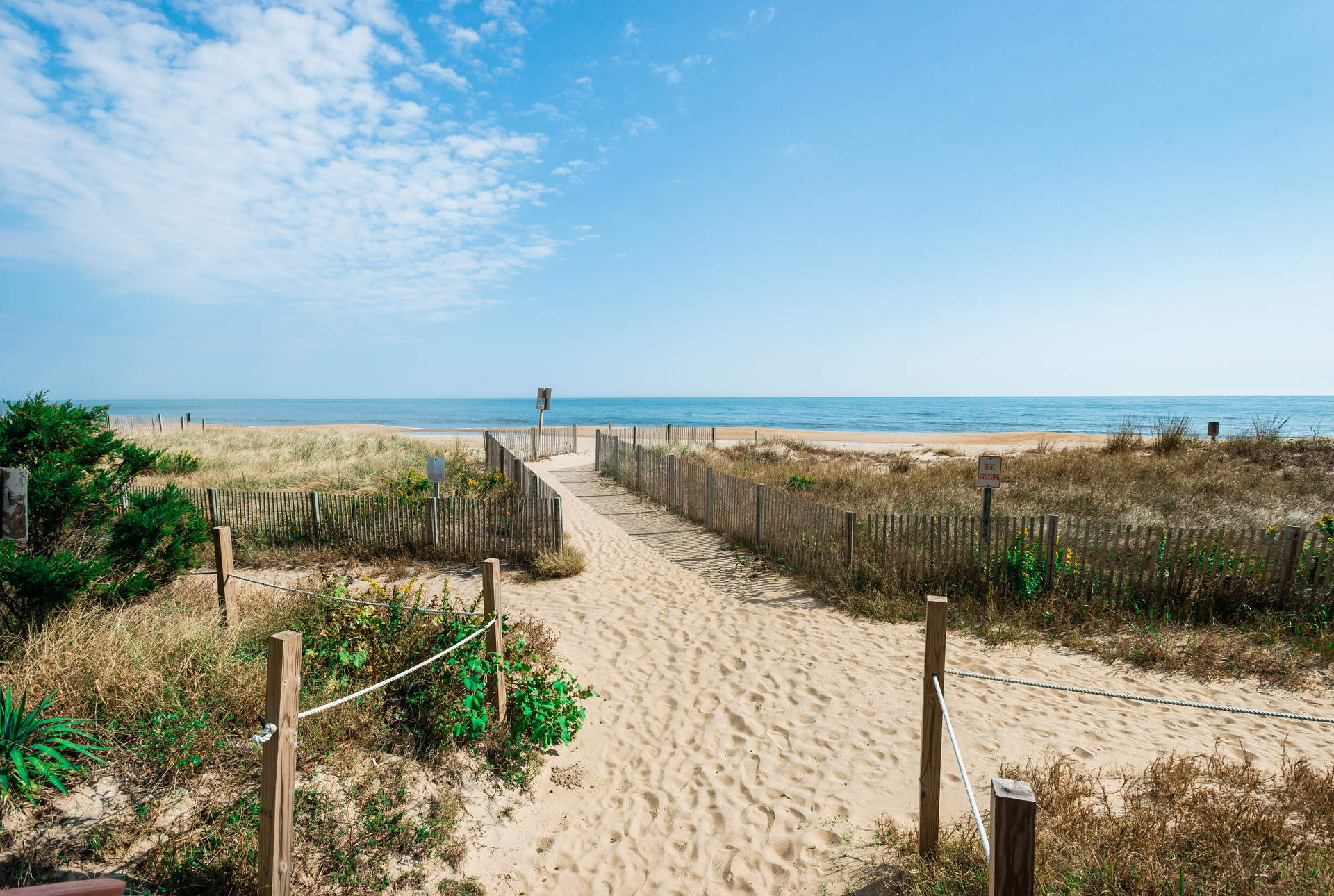 Just a shot stroll across the sand dunes