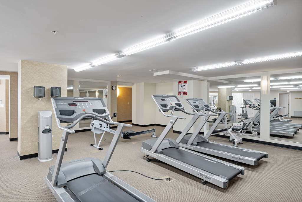 Plenty of space and equpiment for multiple guests