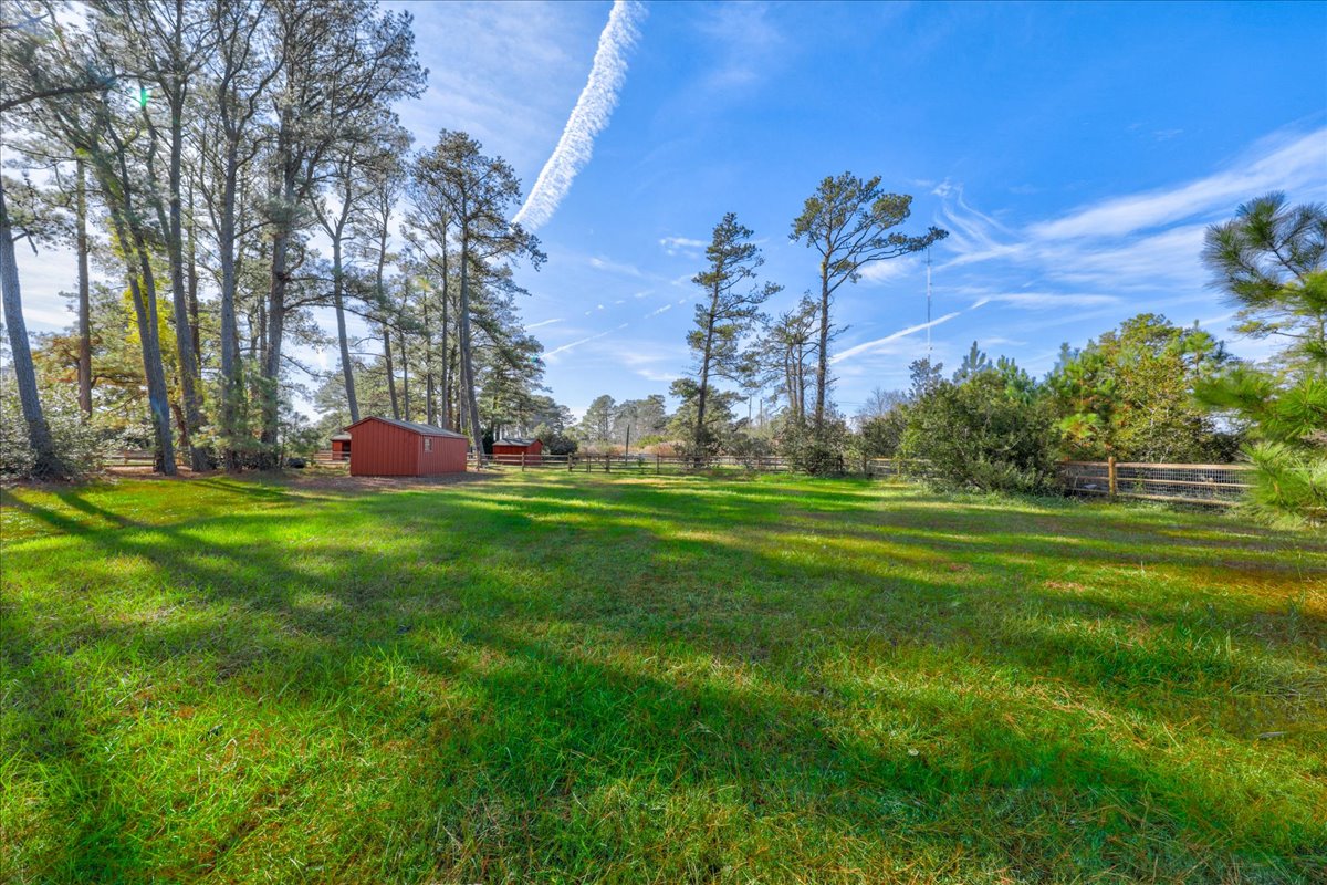 Seahorse Shanty | Photo 58