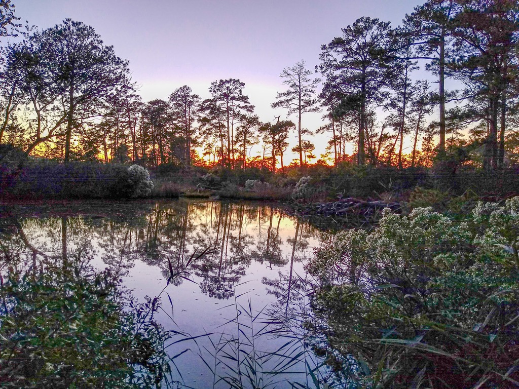 Utter East backs to a serene Pond, just teeming with wildlife!