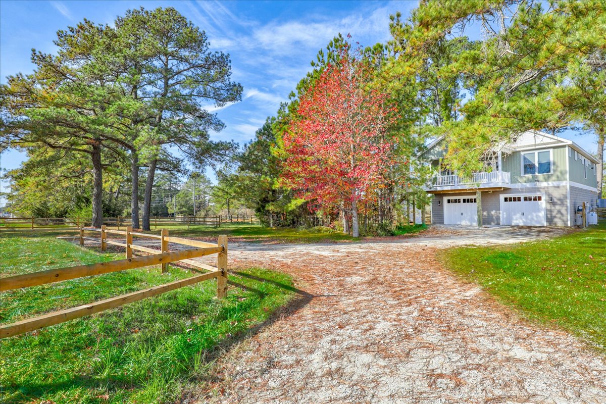 Seahorse Shanty | Photo 61