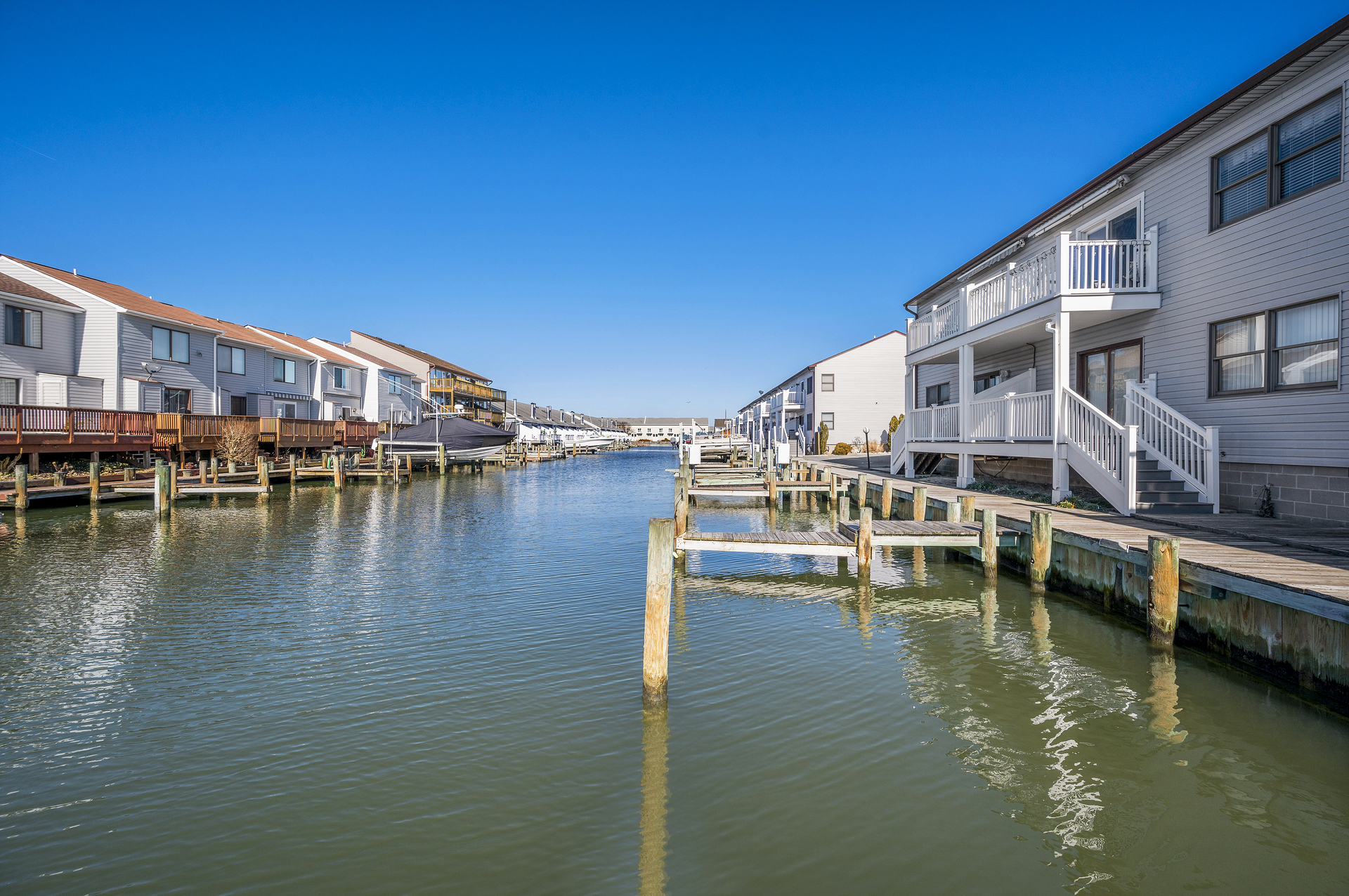 Crab and fish right in your own backyard!