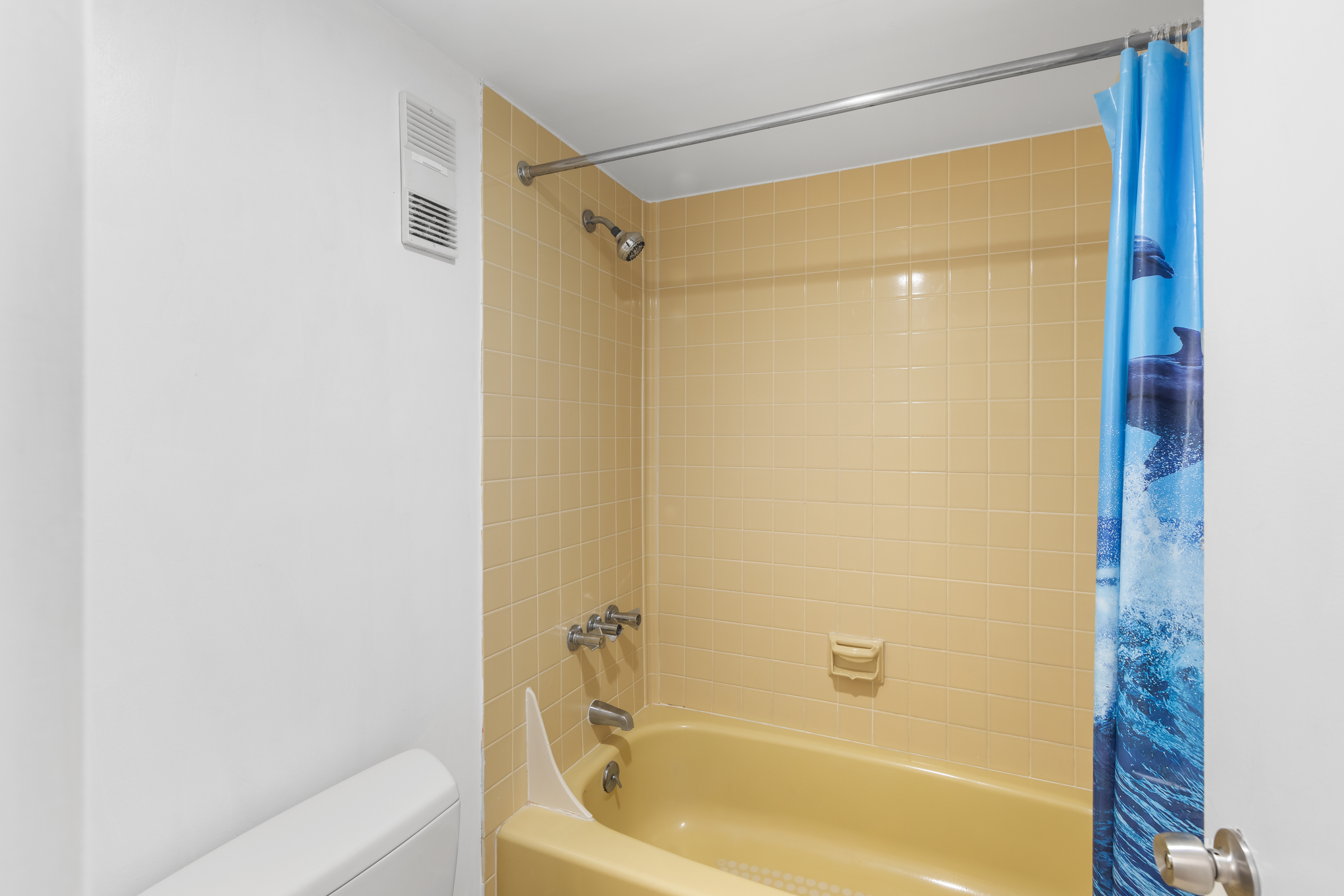 Shower/Tub combo in the Shared Full Bath