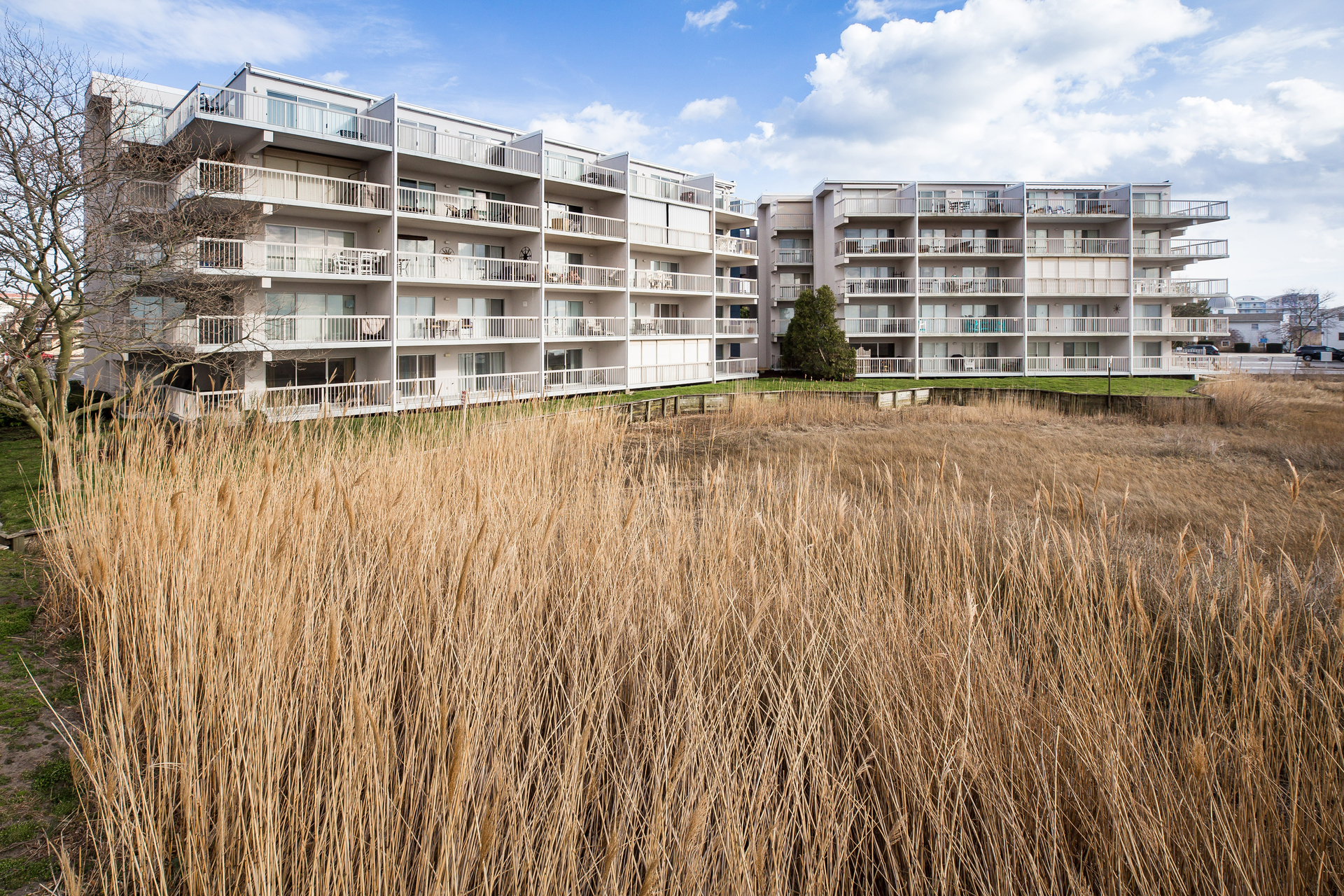 Triton`s Trumpet is located in the Heart of Ocean City on 79th Street.