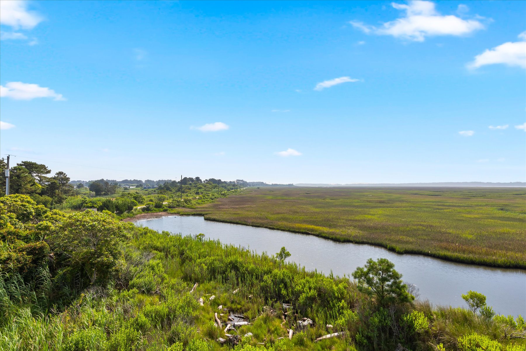 Watch abundant Wildlife in the Marsh - Herons, Eagles, Egrets, and more.