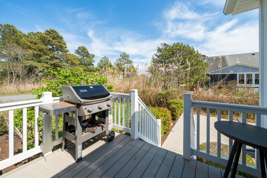 Grill the Fresh Catch of the Day on the Gas Grill.