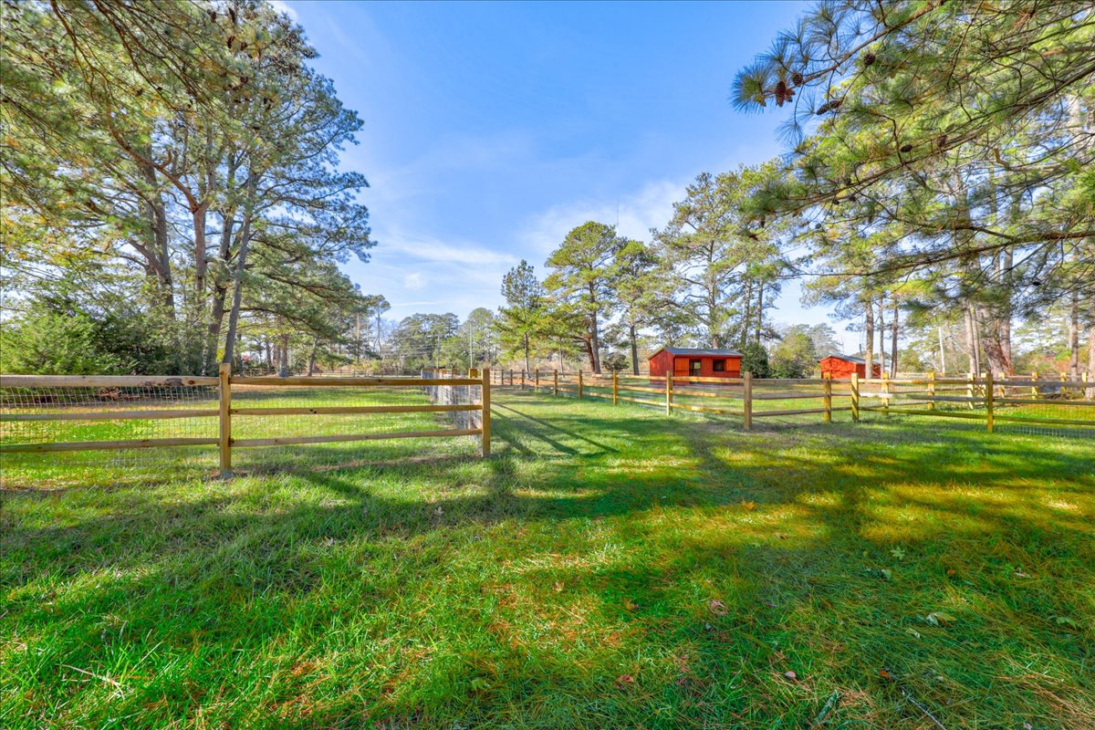 Seahorse Shanty | Photo 50