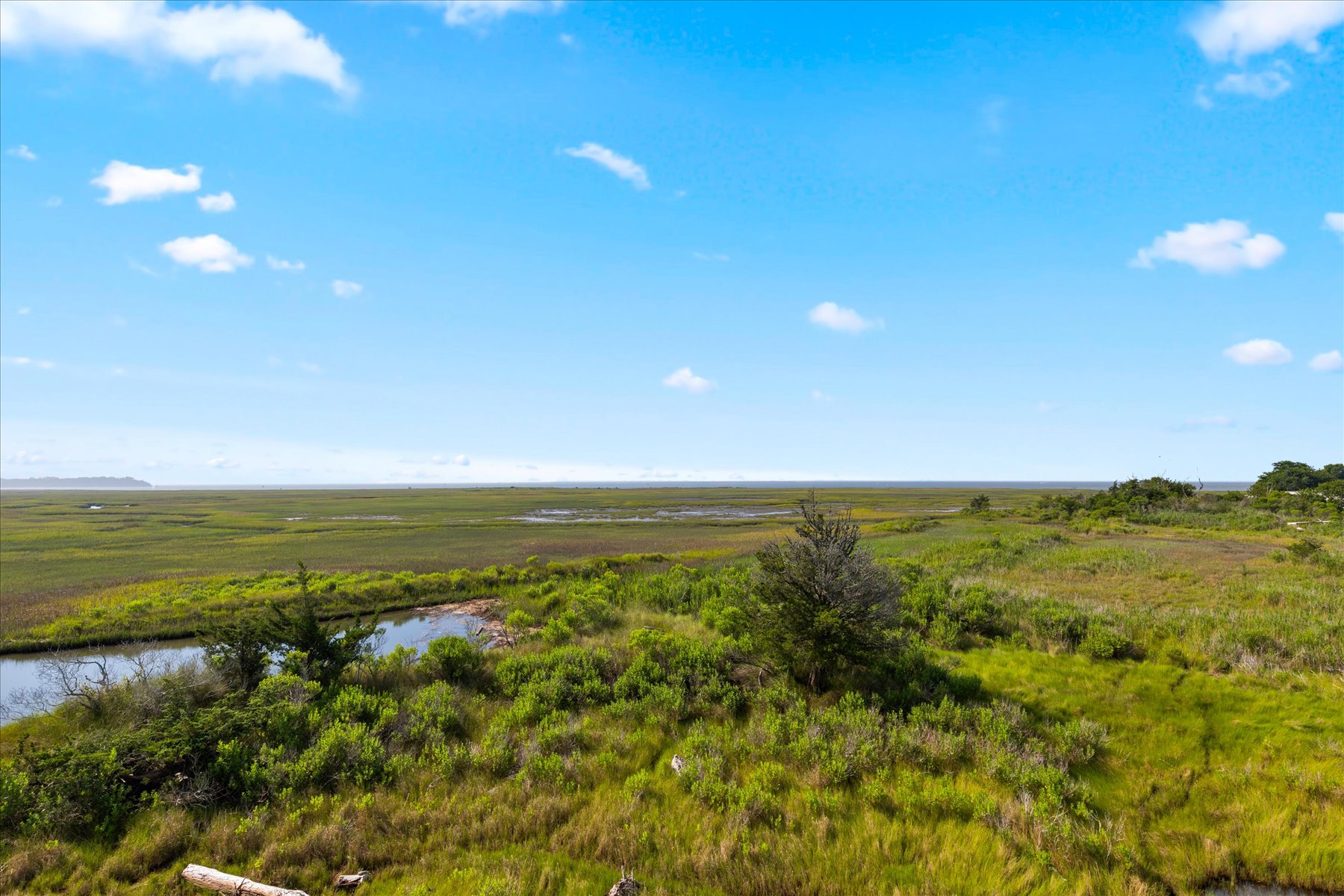 Seas the Moment | Photo 90