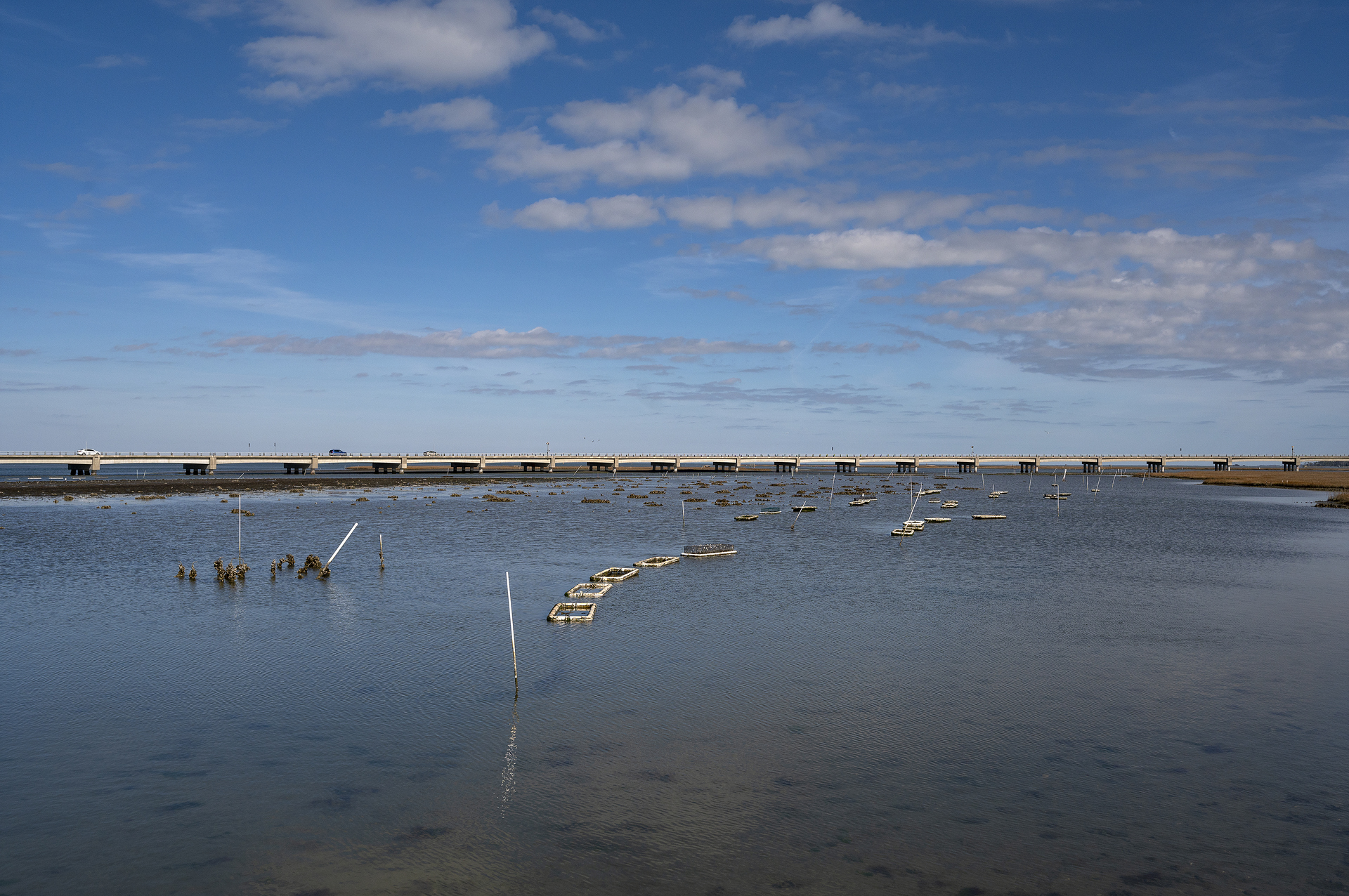 Watch the Watermen harvesting Oysters.....