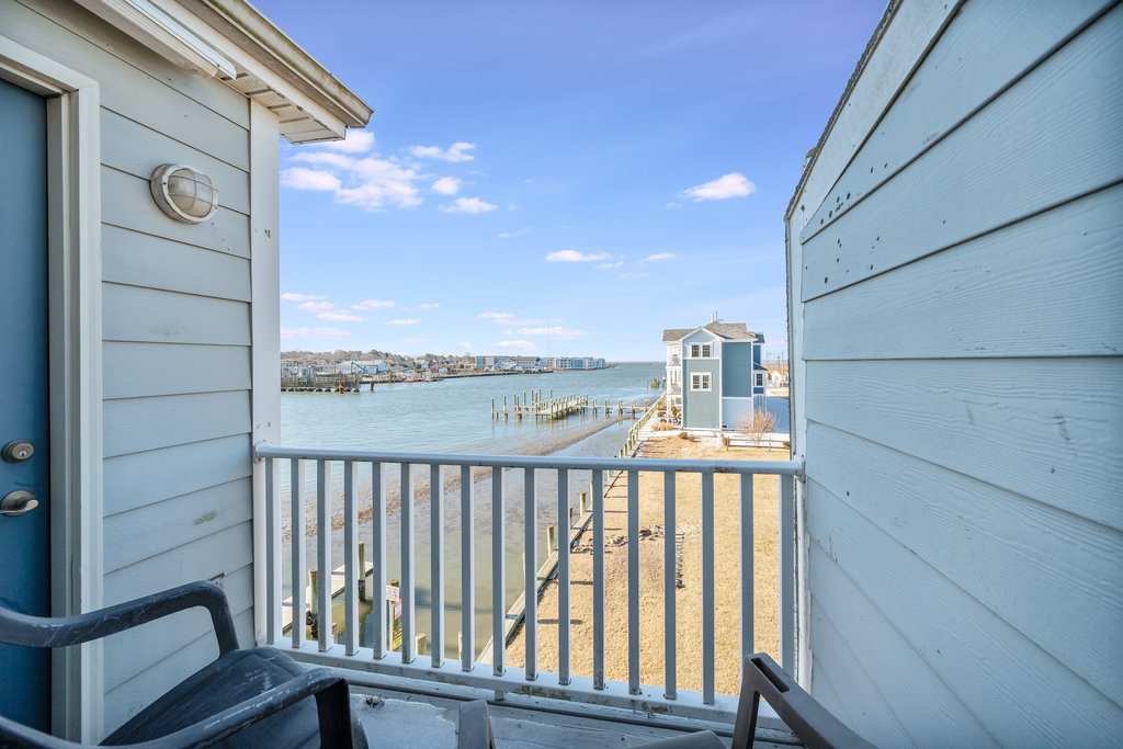 Watch Herons, Eagles, and Egrets fish for their morning meal - and keep an eye out for Dolphins!