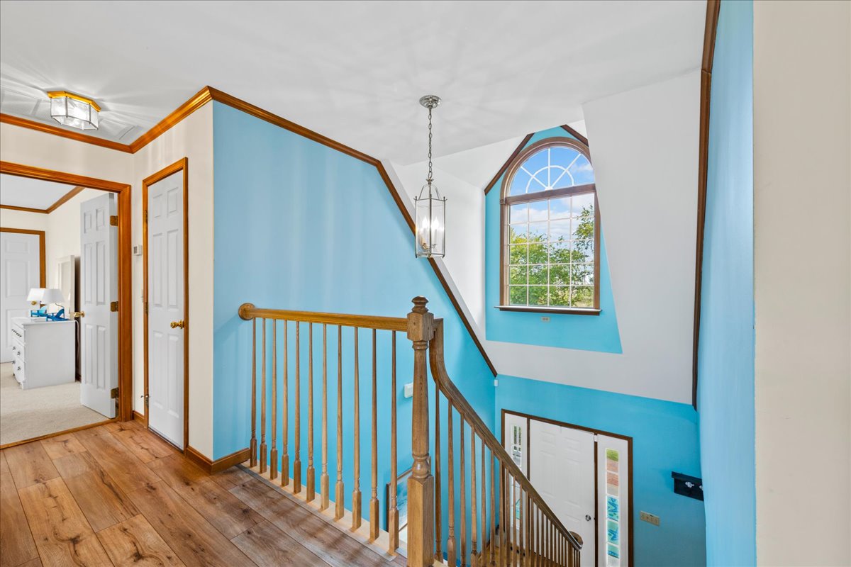 Lots of windows and wonderful natural light.