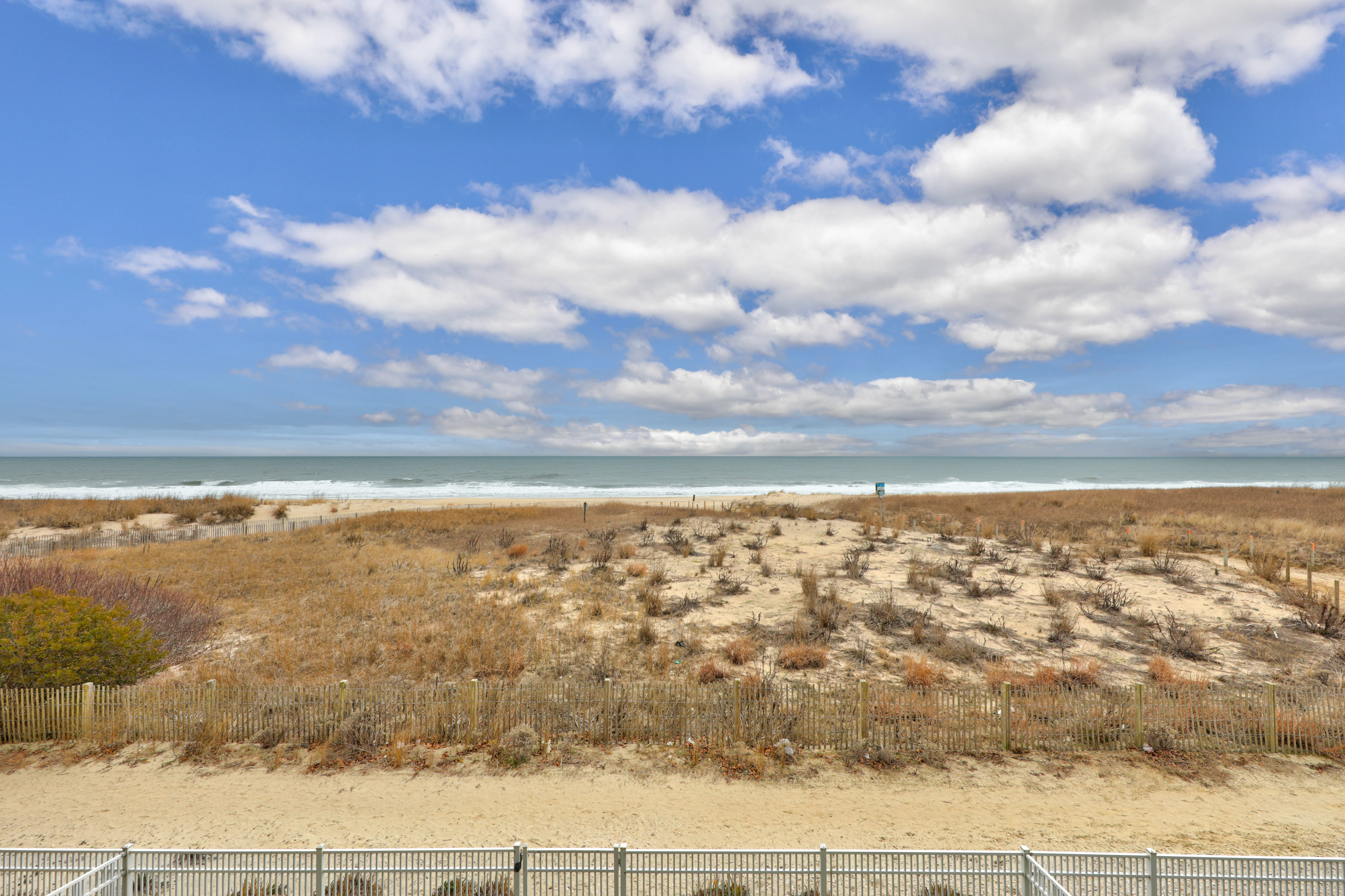 Hear the waves crash on the Beach and watch the dolphins play.