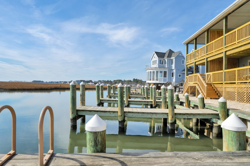 Tons of fun to be had in your own backyard.