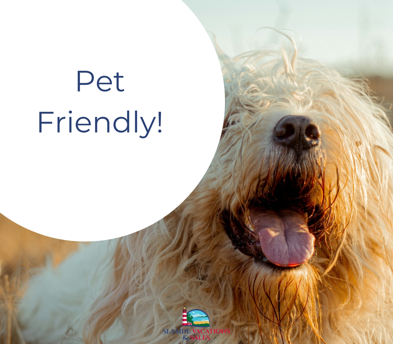 Pet Friendly!