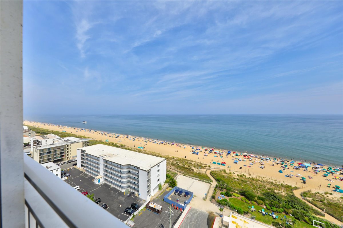 You'll love all the Amenities Carousel has to offer!