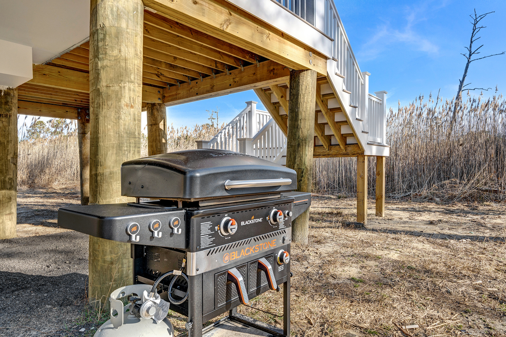 Grill the Fresh Catch of the Day - which hopefully you caught!