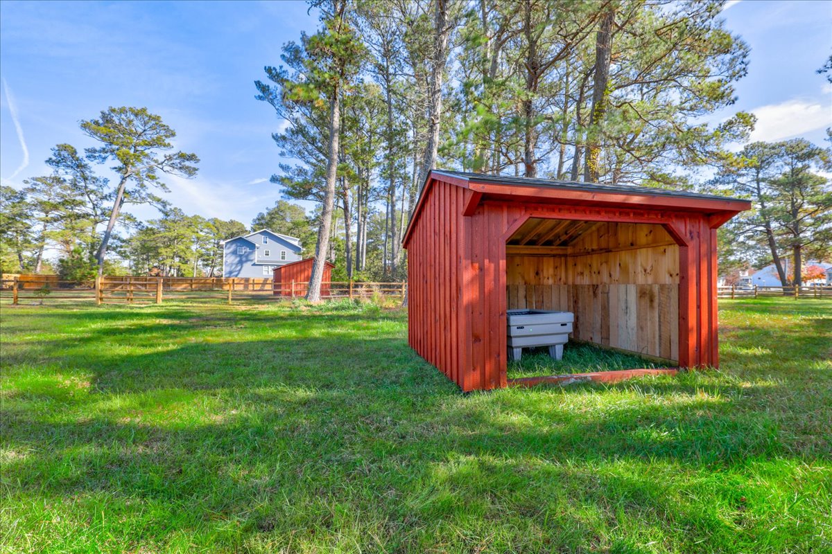 Seahorse Shanty | Photo 56