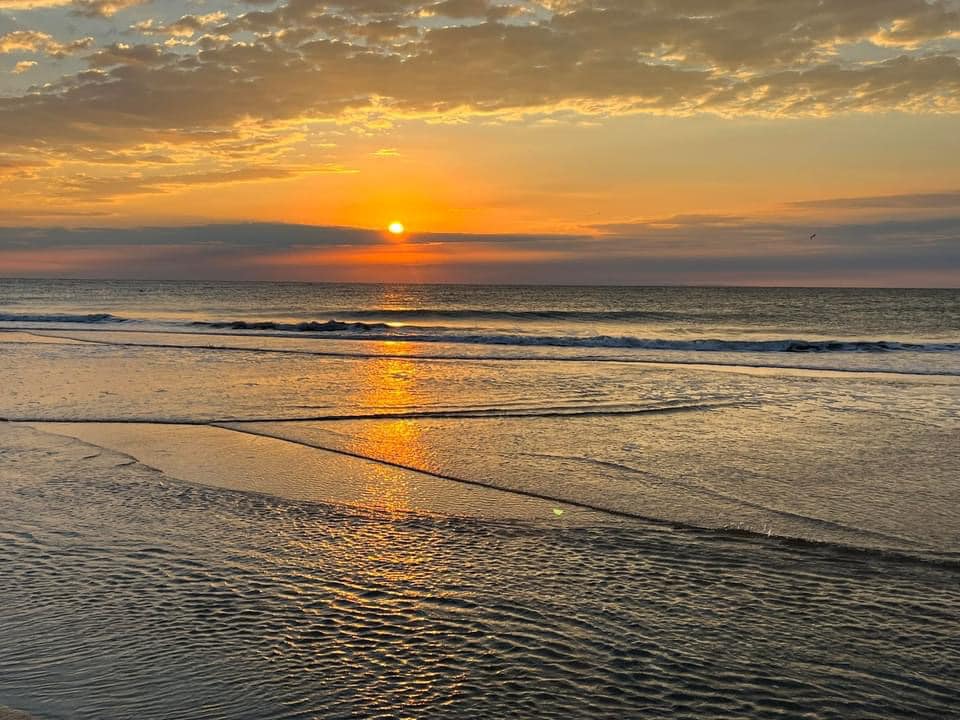 Only 25 minutes to Assateague National Seashore!