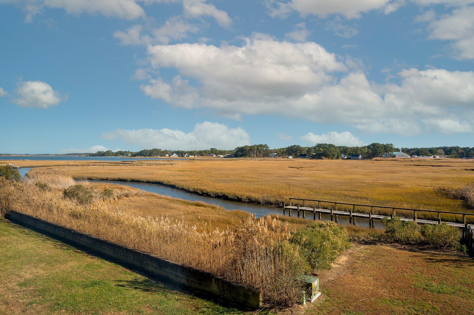 Overlooking gorgeous Eel Creek, which is teeming with life.