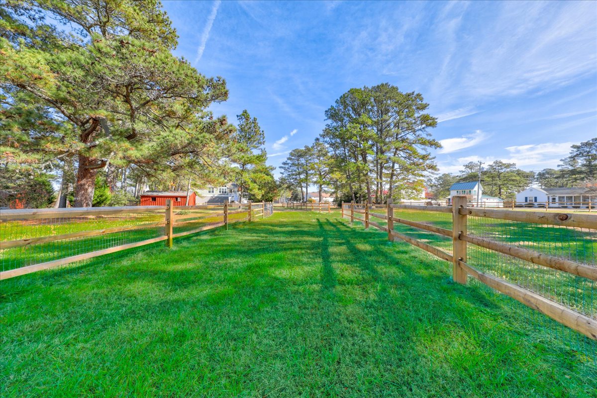 Seahorse Shanty | Photo 60