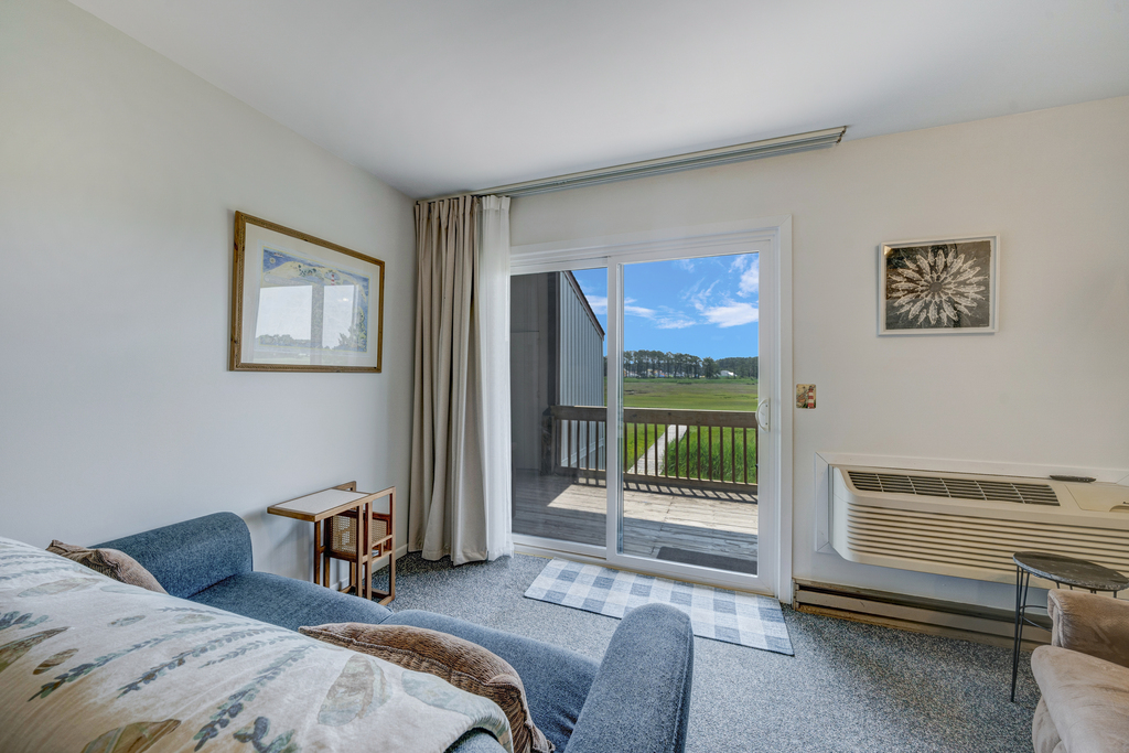 Beautiful Water & Marsh Views right from your sofa.