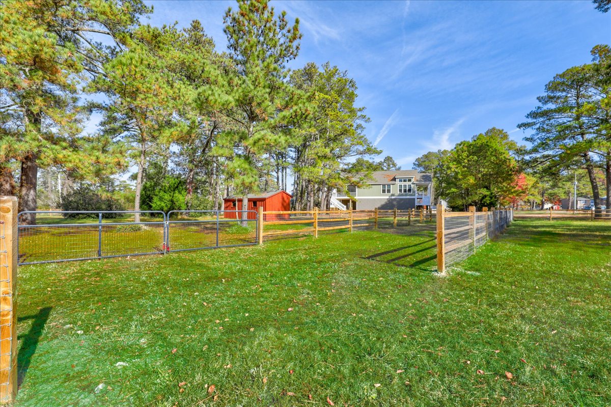 Seahorse Shanty | Photo 59