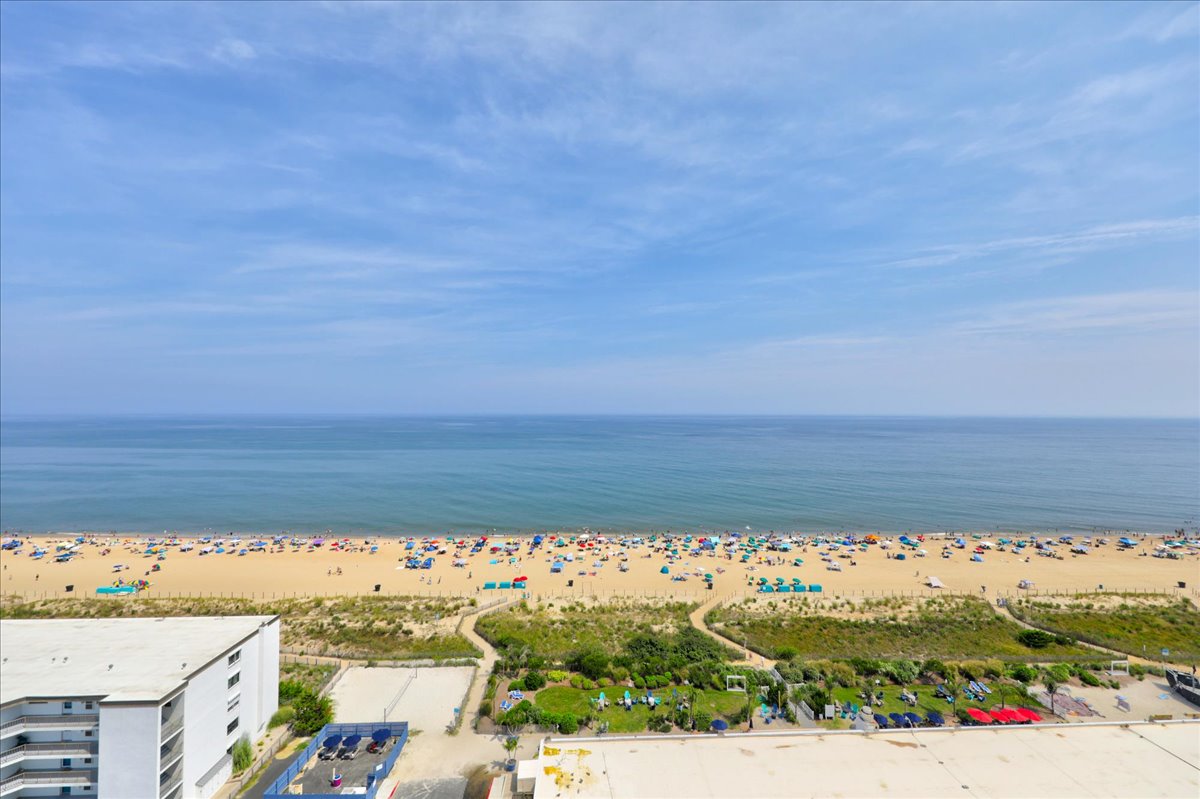 Carousel is located right near many dining, shopping, and amusements!