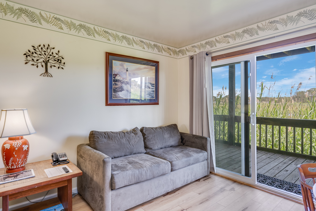 Sleeper Sofa in the Living Area