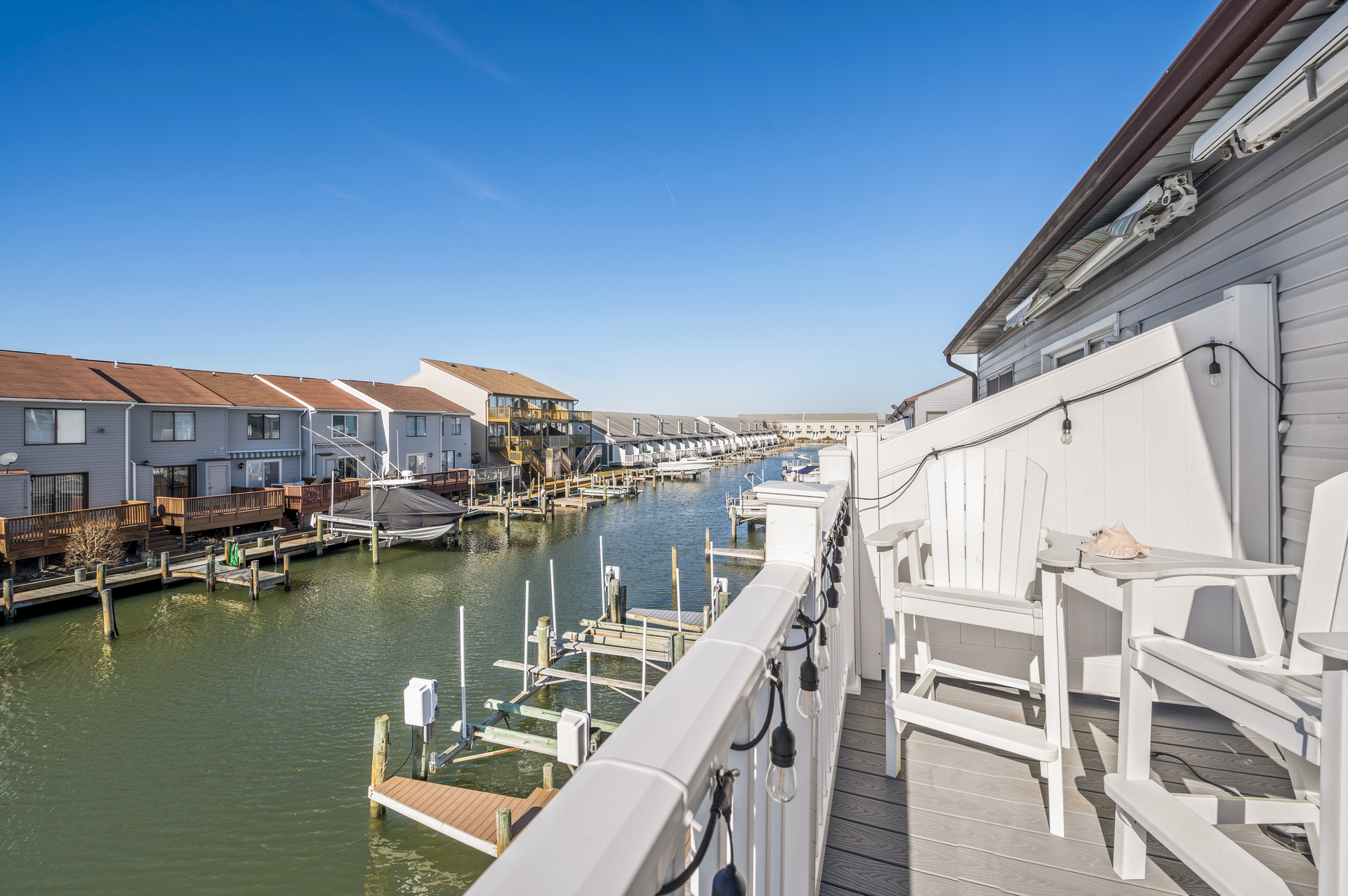 Watch the Herons and Egrets fish for their morning meal.