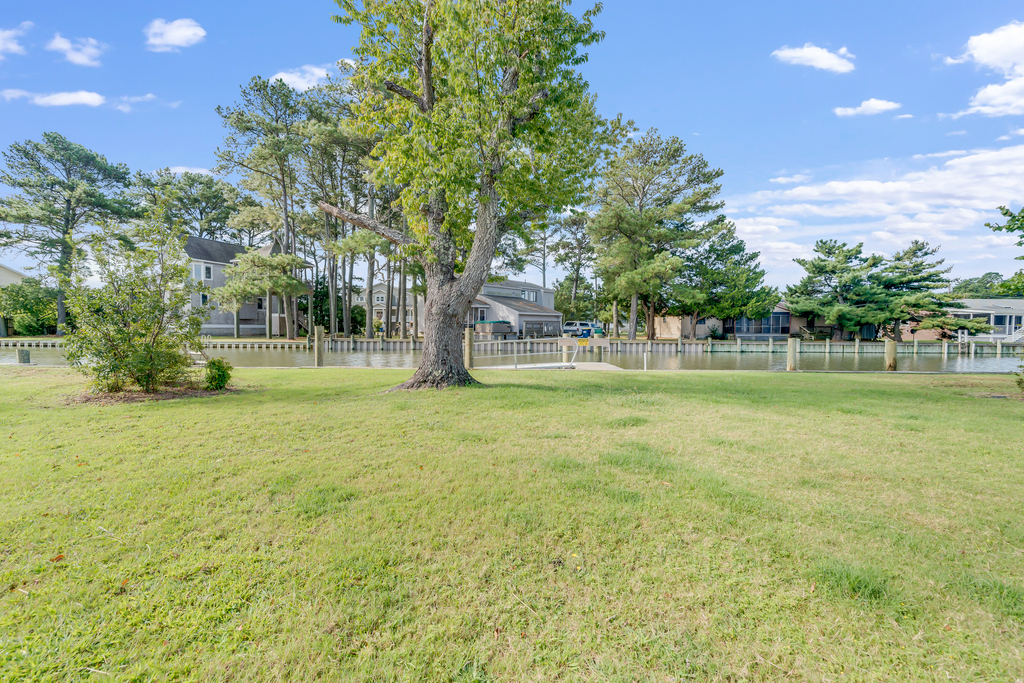 So much room to run, play, and chase Lightning Bugs!
