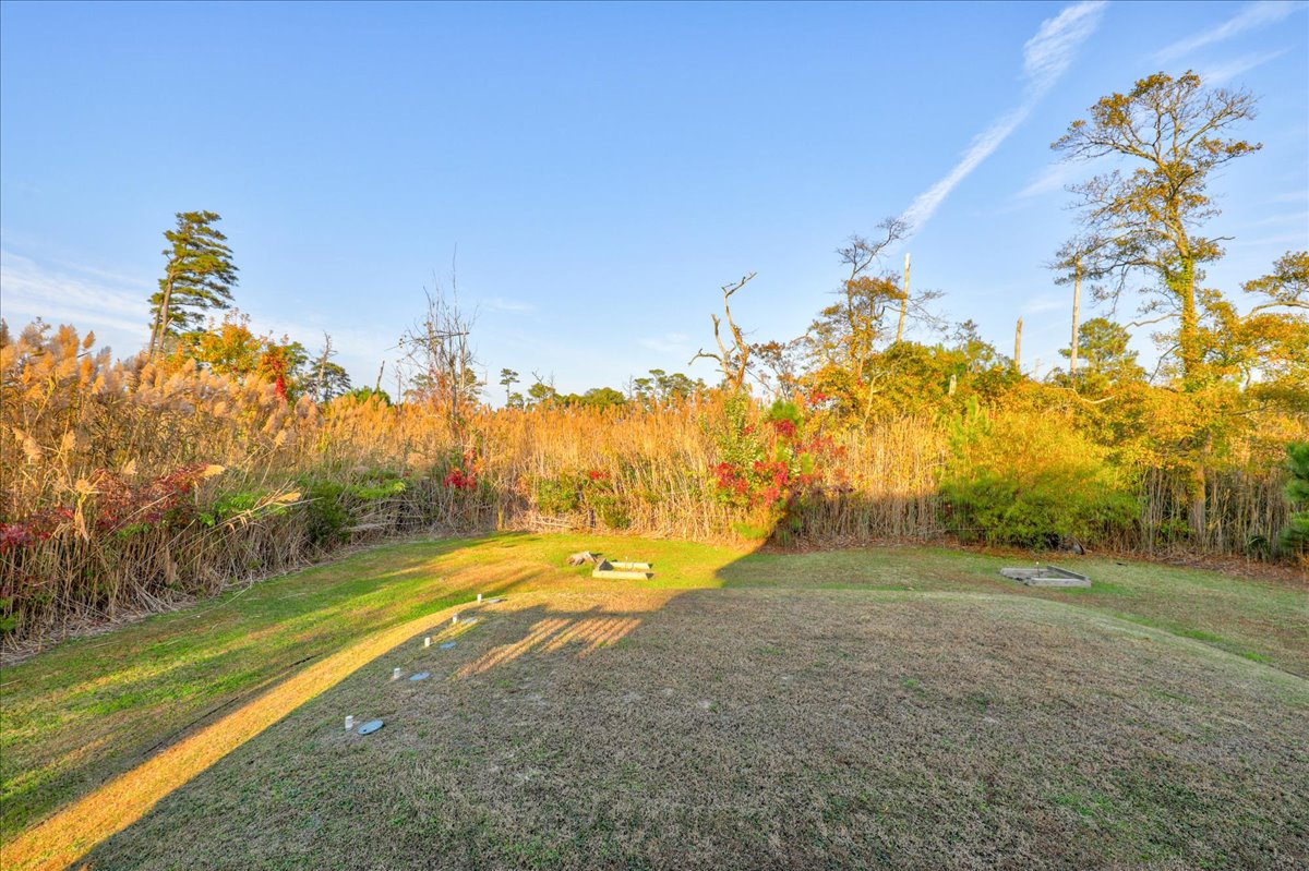 Surrounded by natural vegetation, peace, and quiet.