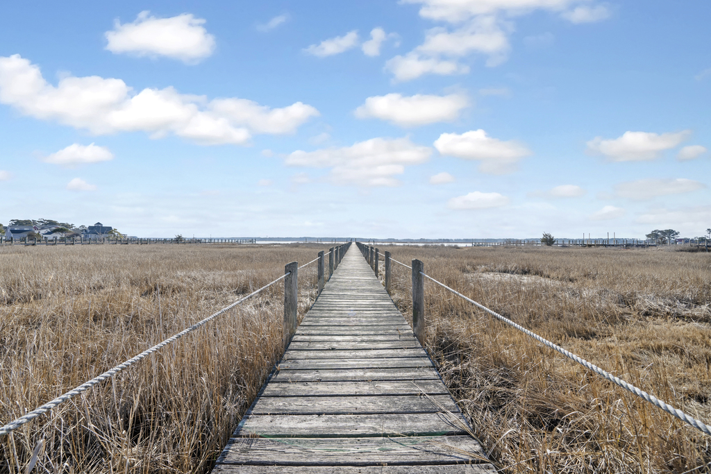 Pony Swim Crossing | Photo 35