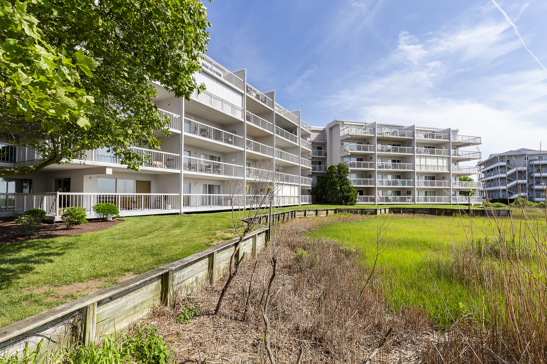 Nothing but beautiful Views of Water and Wildlife.