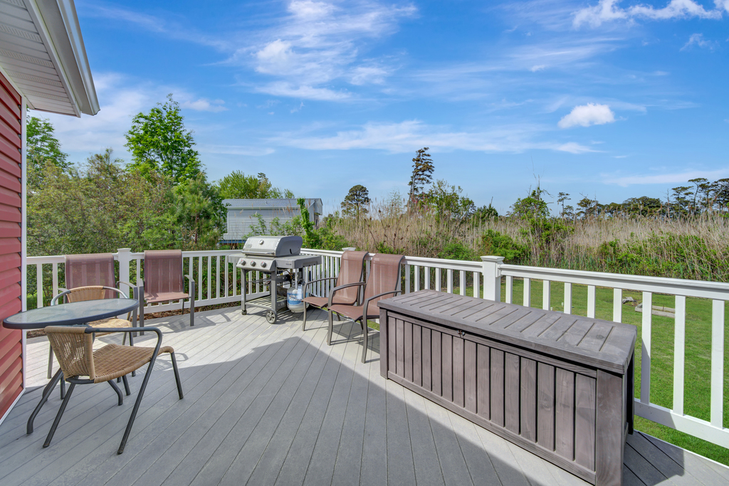 Grill the Fresh Catch of the Day on the Gas Grill.