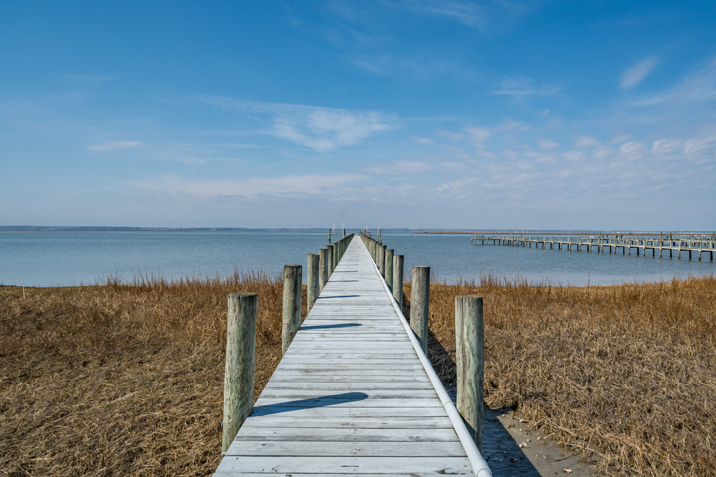 Shared Pier with only one other home!