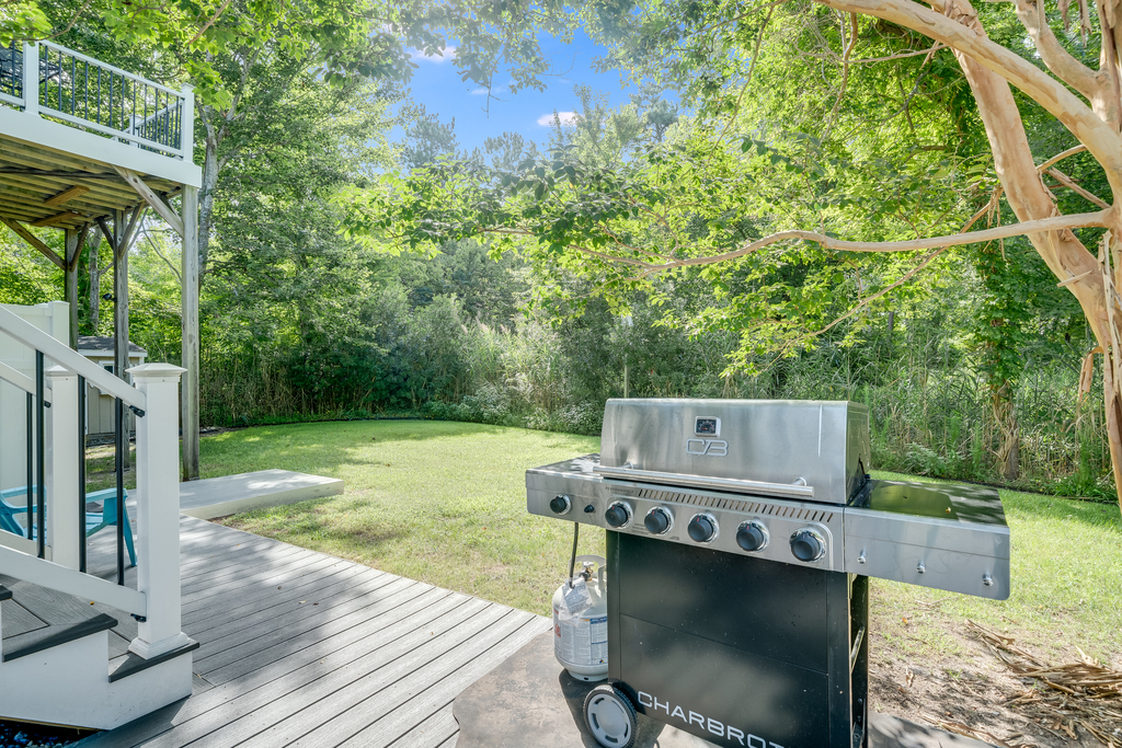 Grill the Fresh Catch of the Day on the Gas Grill.
