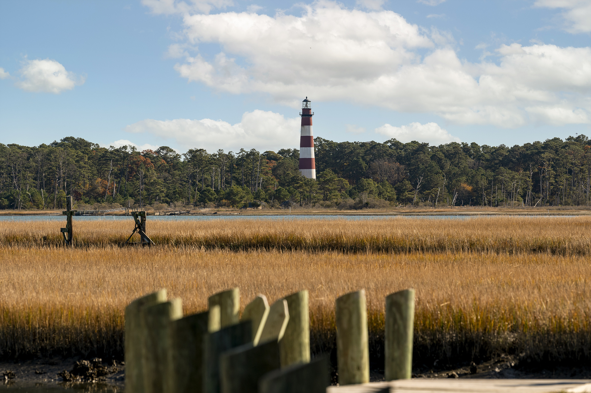 Watch Ponies graze across the Channel, and take in amazing Lighthouse Views!