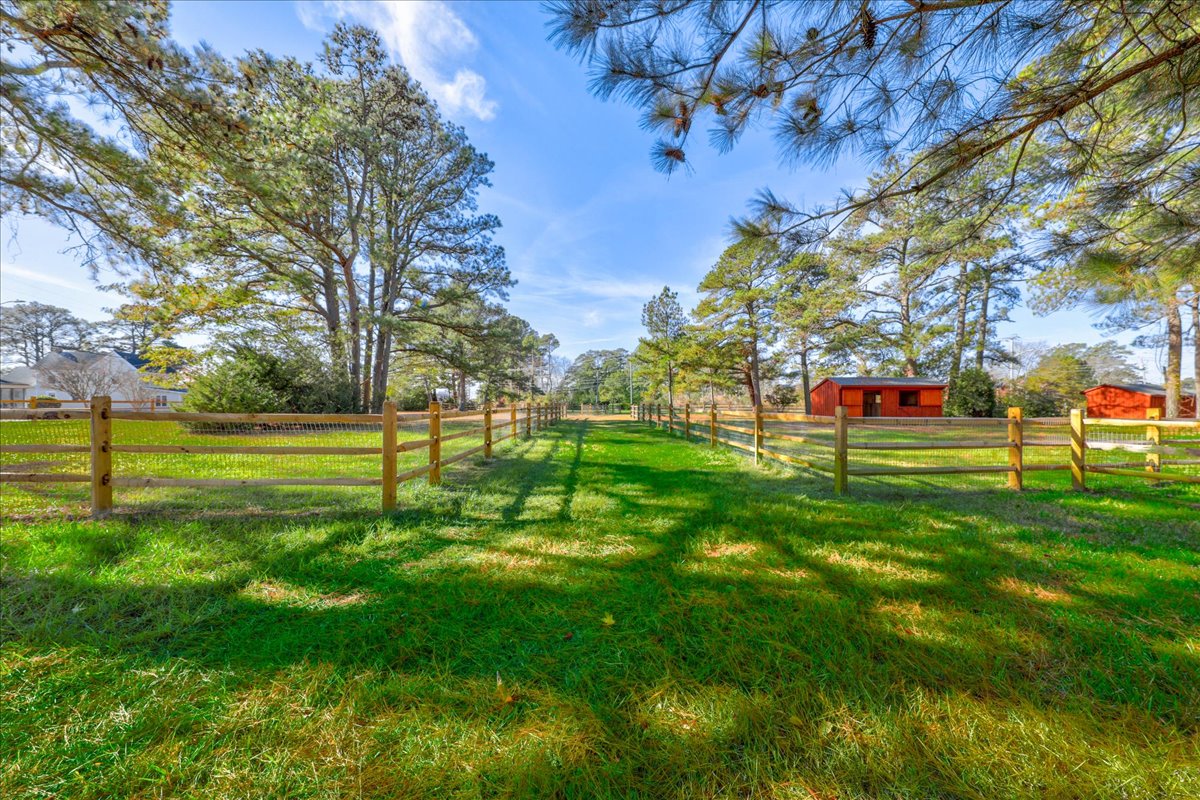 Seahorse Shanty | Photo 54