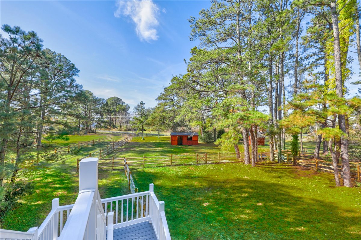 You're surrounded by beautiful, lush pastures and trees.