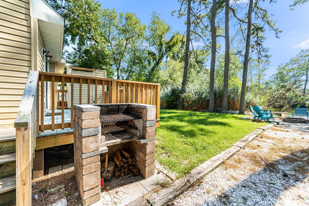 Awesome Stone Grill works with charcoal or wood - YUM!