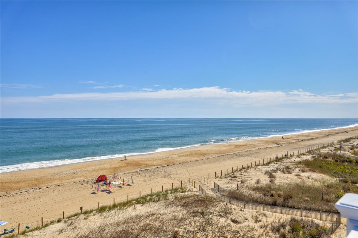 Watch the dolphins frolic in the ocean.