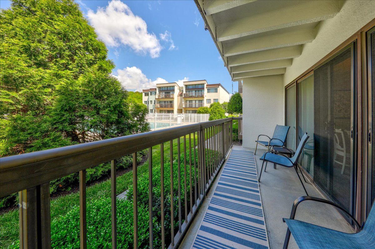 Sit out to enjoy the Peace and Serenity of Tiburon!